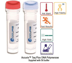 pcr mix, taq polymerase, accuris, pcr, polymerase chain reaction, dna polymerase, pcr reagents, buffer, MgCl, dTNP, taq plus