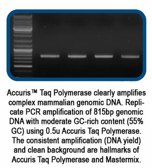 pcr mix, taq polymerase, accuris, pcr, polymerase chain reaction, dna polymerase, pcr reagents, buffer, MgCl, dTNP