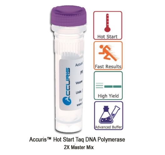 pcr mix, taq polymerase, accuris, pcr, polymerase chain reaction, dna polymerase, pcr reagents, buffer, MgCl, dTNP, hotstart, hot start
