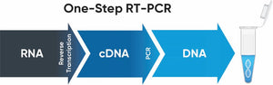 Accuris One-Step RT-PCR Kit
