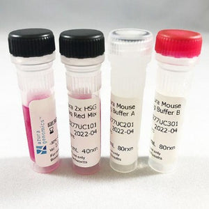 mouse genotyping kit, mouse genotyping, Taq, DNA extraction, amplification, 